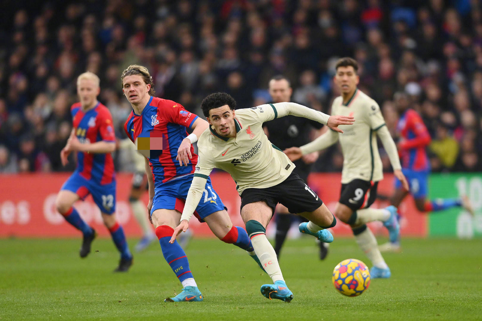 被誉为新生 被誉为新生