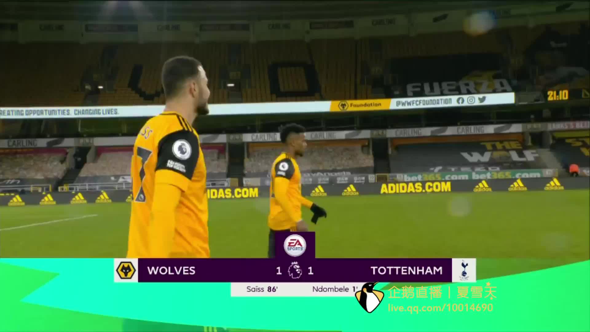 球迷们表现 球迷们表现