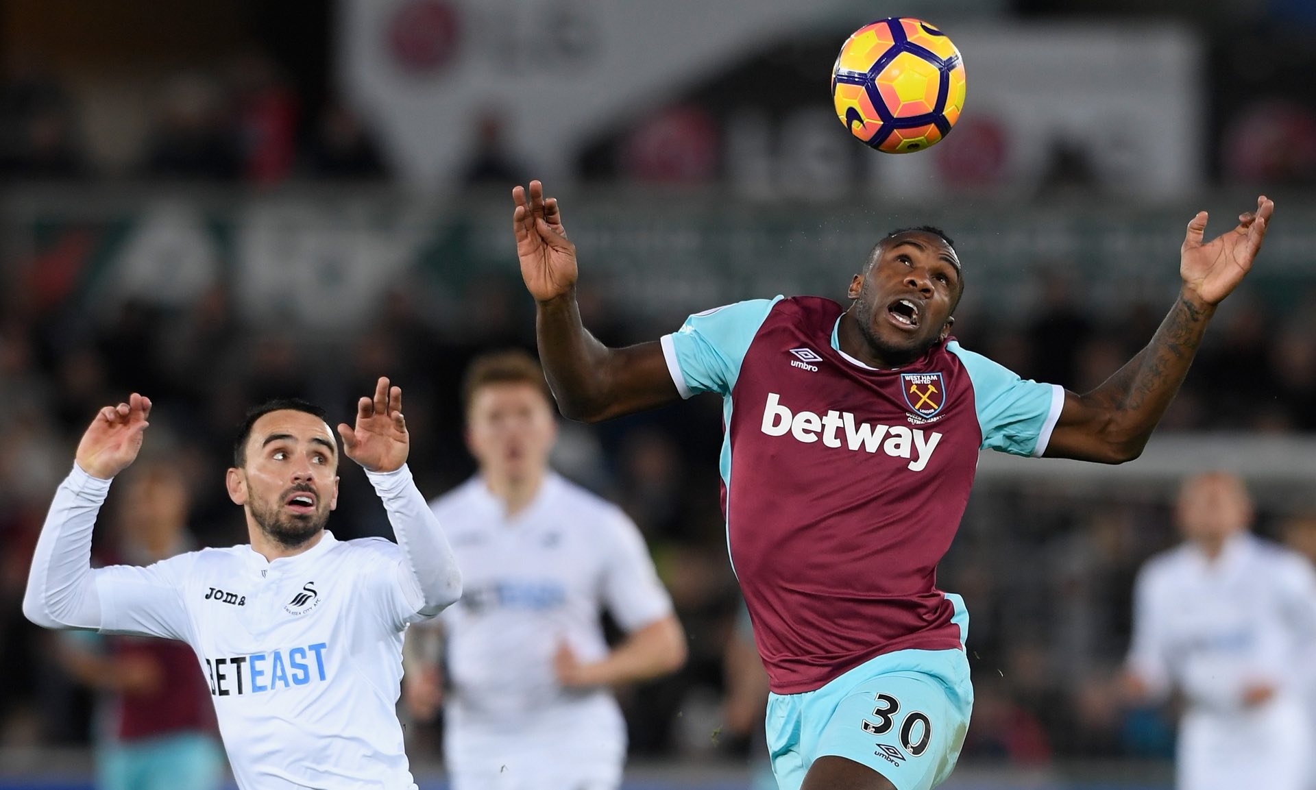 体育界的多 体育界的多